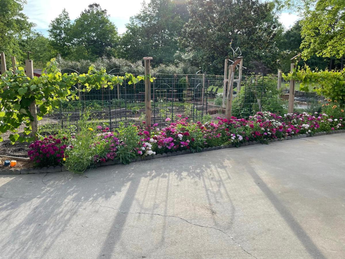 Gillen House Bed & Breakfast 3*